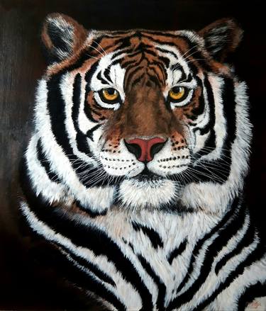 "Panthera Tigris virgata" Turanian tiger, wild cat thumb