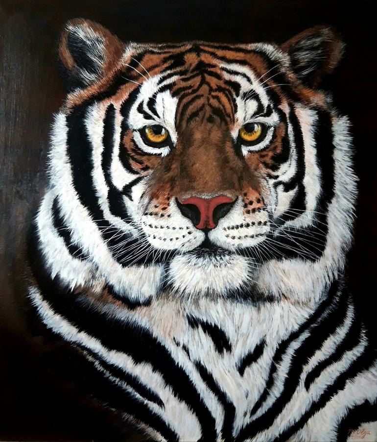 Bengal Tiger (Panthera tigris tigris) Dimensions & Drawings