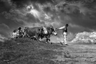 Original Rural life Photography by Grigore ROIBU