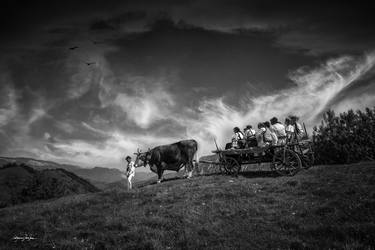 Print of Rural life Photography by Grigore ROIBU