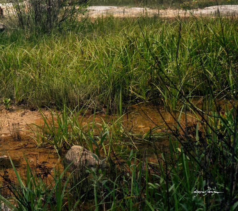 Original Conceptual Women Photography by Grigore Roibu