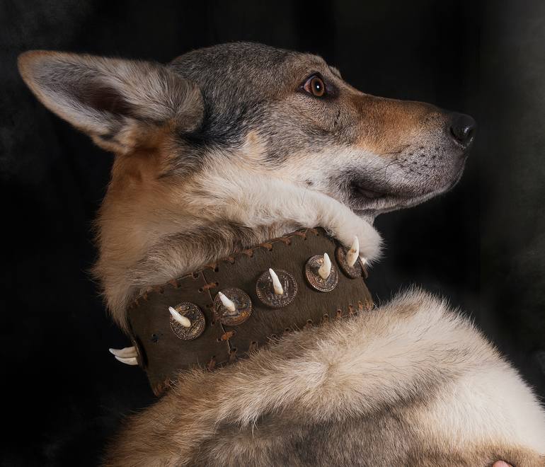 Original Conceptual Men Photography by Grigore Roibu