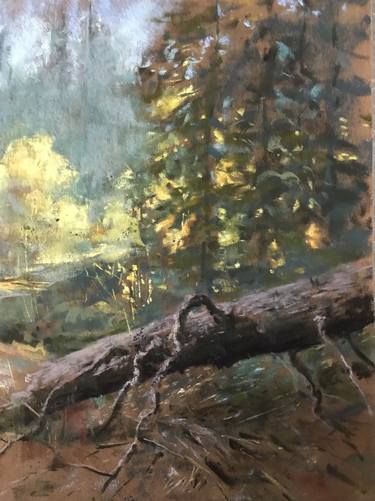 Original Impressionism Landscape Paintings by Chris Schnabel