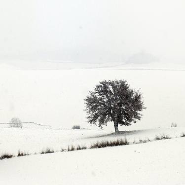 Original Nature Photography by Marco Vegni Fotografia