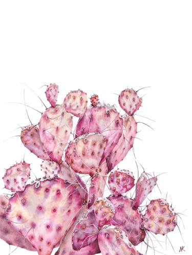 Pink opuntia cactus thumb