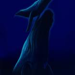 Mother & Calf II by Havilah Abrego