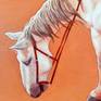 close up detail of the horse