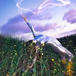 Lightning Eater 02 by Maia Saavedra-Weisenhaus