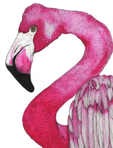 Pink flamingo thumb