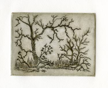 Original Illustration Tree Printmaking by Karen Barry