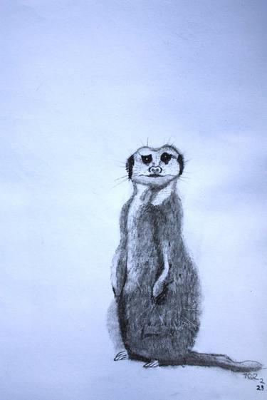 Meerkat thumb