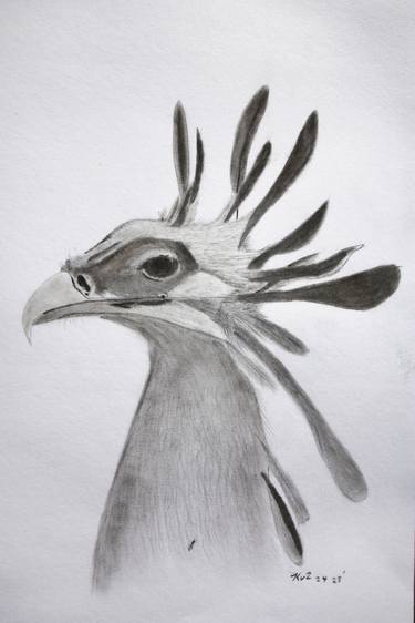 Secretarybird thumb