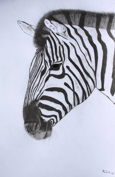 Original Animal Drawings by Kobus van Zyl