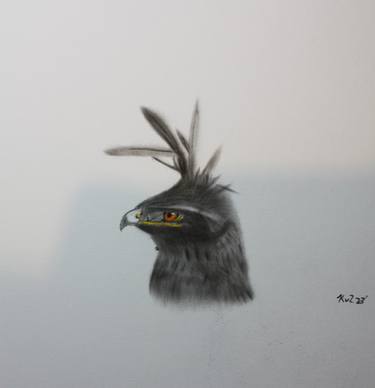 Original Figurative Animal Drawings by Kobus van Zyl