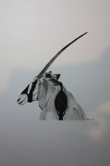 Original Expressionism Animal Drawings by Kobus van Zyl