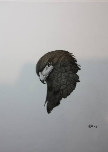 Original Animal Drawings by Kobus van Zyl