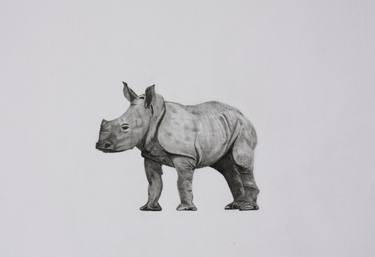 Original Realism Animal Drawing by Kobus van Zyl