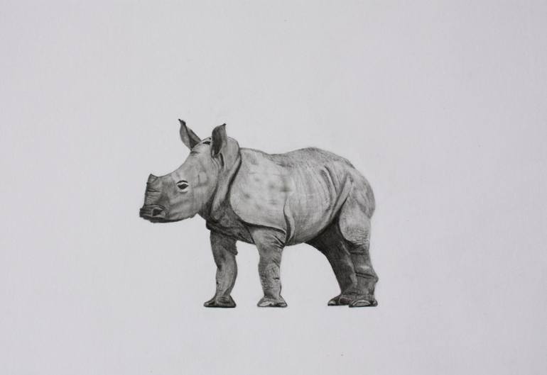 Original Realism Animal Drawings by Kobus Van Zyl