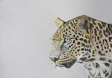 Original Realism Animal Drawing by Kobus van Zyl