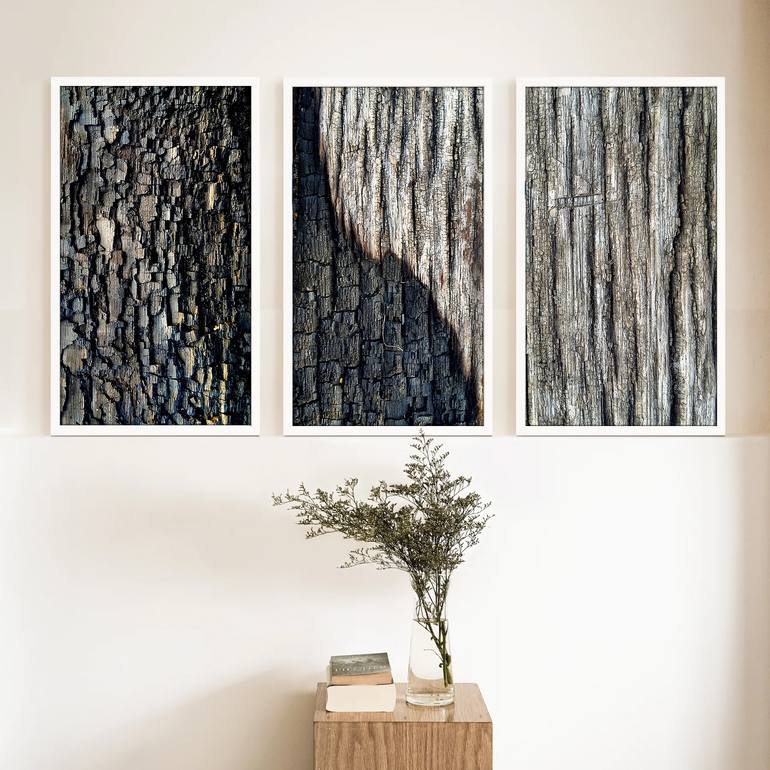 Original Abstract Nature Photography by Nadya Solovyova