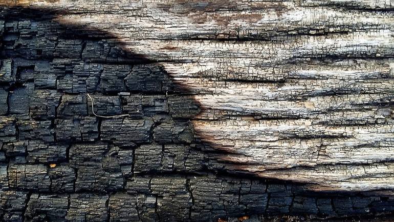 Original Abstract Nature Photography by Nadya Solovyova
