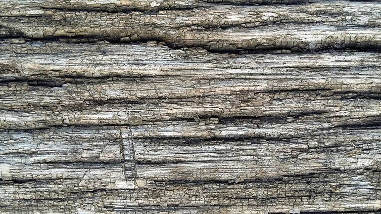 Original Abstract Nature Photography by Nadya Solovyova