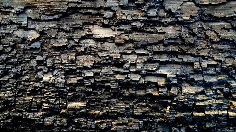 Original Abstract Nature Photography by Nadya Solovyova