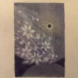 Collection Midnights