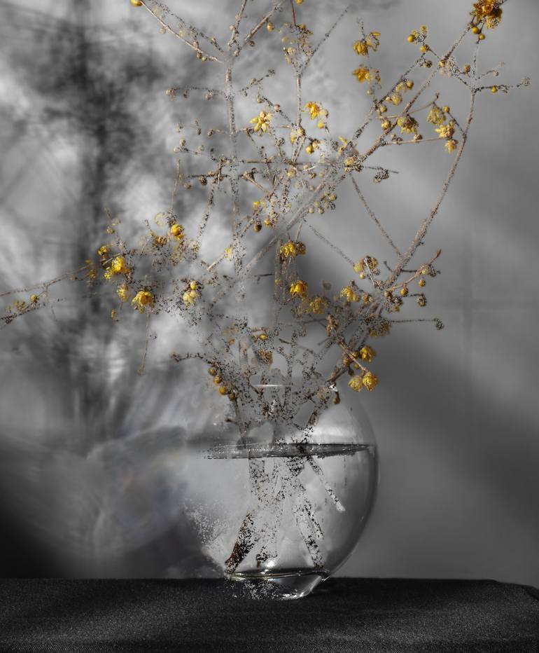 Original Still Life Photography by Pietro Cenini