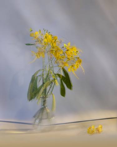 Original Impressionism Floral Photography by Pietro Cenini