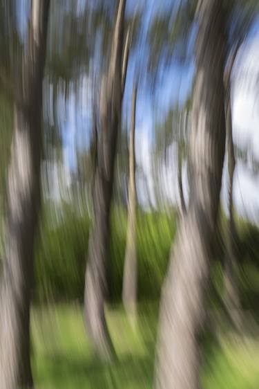 Original Impressionism Nature Photography by Pietro Cenini