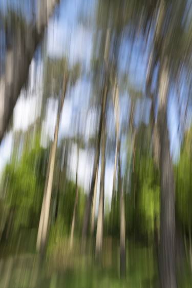 Print of Impressionism Tree Photography by Pietro Cenini