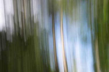Print of Impressionism Nature Photography by Pietro Cenini