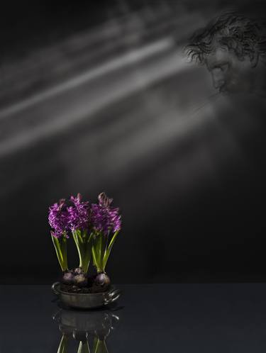 Original Conceptual Floral Photography by Pietro Cenini