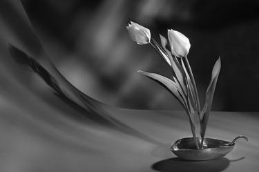Print of Fine Art Floral Photography by Pietro Cenini