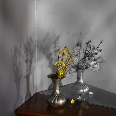 Original Conceptual Floral Photography by Pietro Cenini