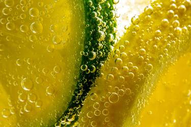 Lemon and Lime Slices in Sparkling Water thumb