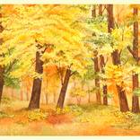 Collection Fair Director's Picks: Preview of The Other Art Fair Dallas Fall 2023