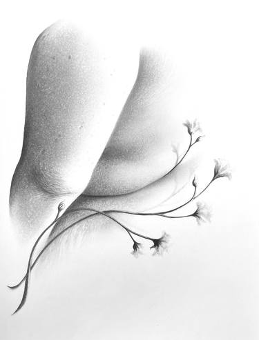 Original Women Drawings by Elle Tracey