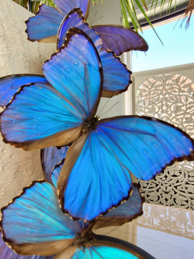 Original Figurative Nature Sculpture by Robert Mars