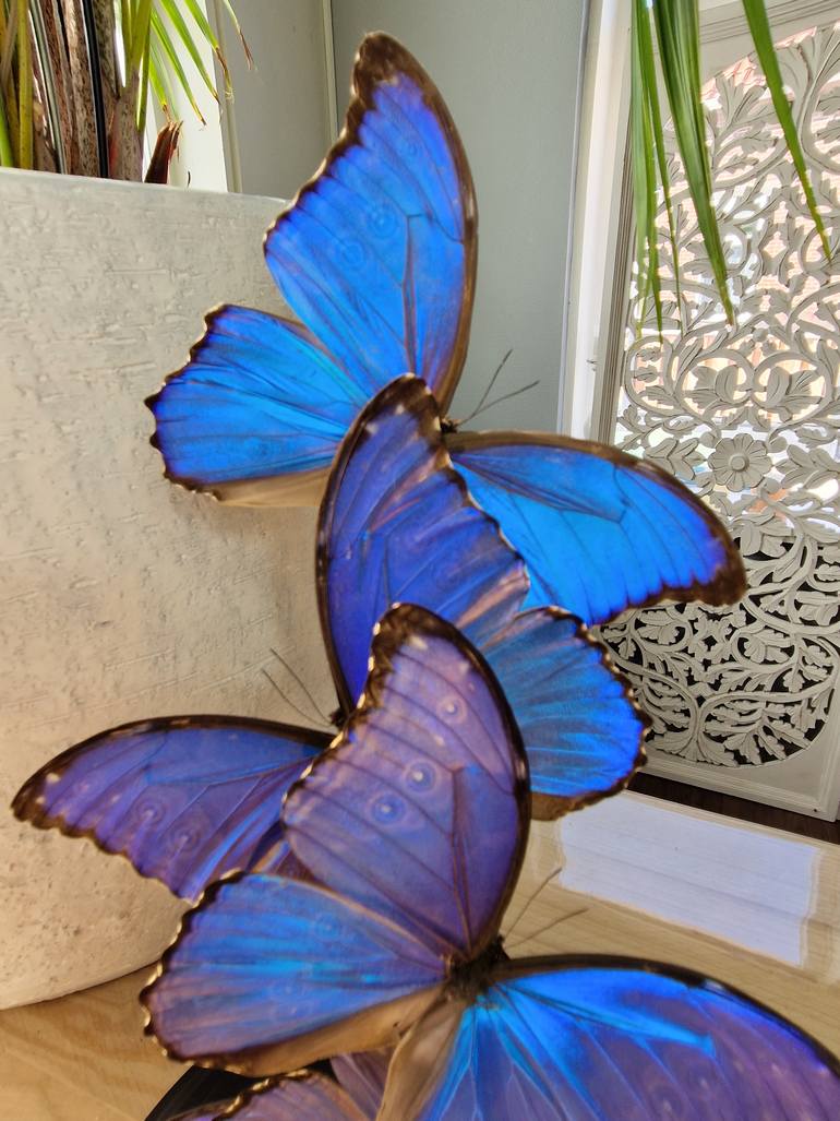 Original Figurative Nature Sculpture by Robert Mars