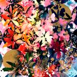 Collection The Other Art Fair October 2026 | Under £300