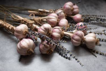 Striped Garlic with Lavender-1 thumb