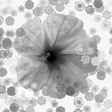 Print of Floral Digital by Diego Cerezer