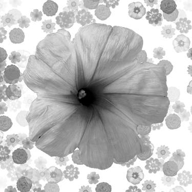 Original Floral Digital by Diego Cerezer