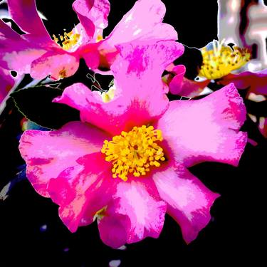 Original Abstract Expressionism Floral Photography by Diego Cerezer