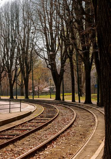 Original Train Photography by Diego Cerezer