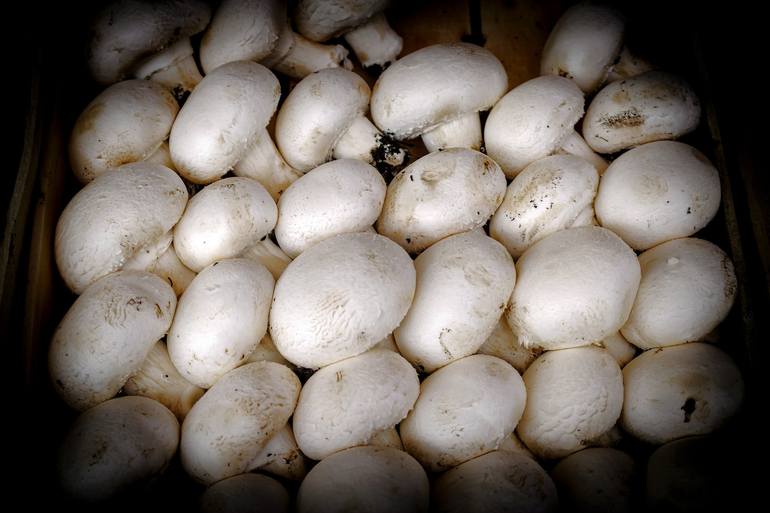 Original  Photography by diego cerezer