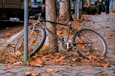 Original Bike Photography by Diego Cerezer