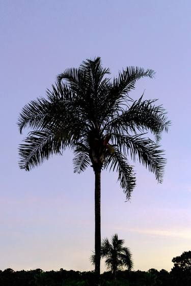 Print of Beach Photography by Diego Cerezer